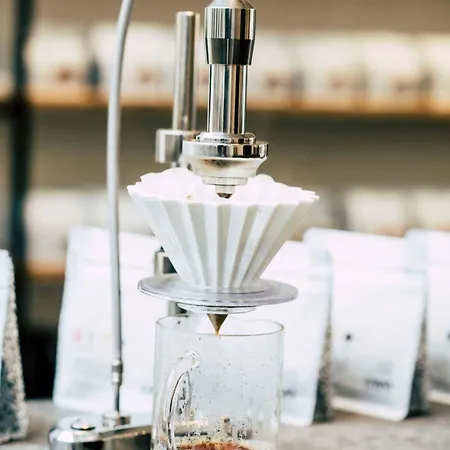 Way Sweet Dreams - 4 Gante