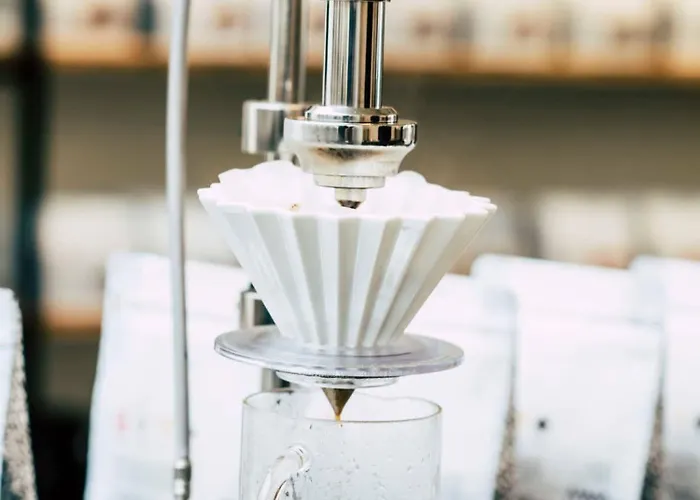 Way Sweet Dreams - 4 Ghent